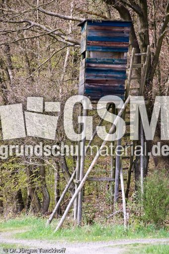 Hochstände (75 von 154).jpg